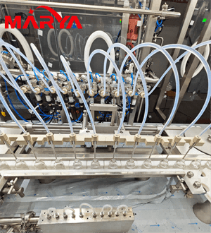 Philippines Client’s Visit to Marya’s Factory for FAT
